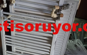 Temiz sağlam çıkma havlupan 50 adet